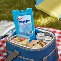 Igloo MaxCold Medium Ice Block