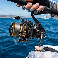 Daiwa BG Spinning Reel