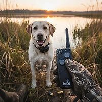 PetPal Training Systems Canine Coach 360 Collar System