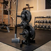 CAP Barbell 2 in Olympic Plate Tree Storage Rack