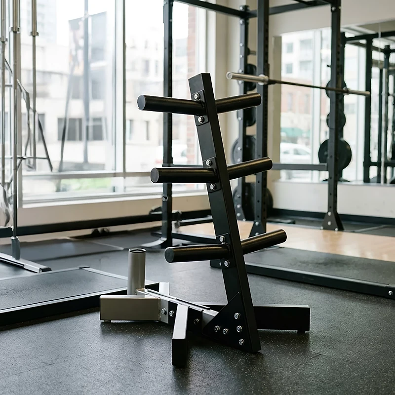 CAP Barbell 2 in Olympic Plate Tree Storage Rack