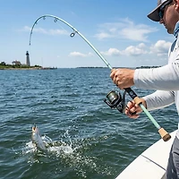 Waterloo Rod Company Salinity 7 ft M Spinning Rod