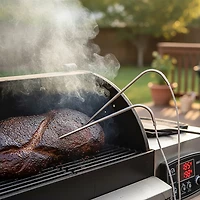 Pit Boss Meat Probes 2-Pack