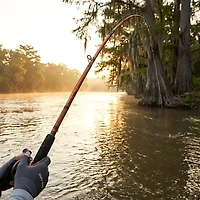 Ugly Stik Catfish Special 8 ft MH Casting Rod
