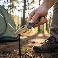 Buck Knives 0726GYS Mini SpitFire LockBack Folder Knife