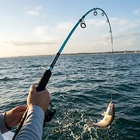 Ugly Stik Carbon Inshore 7 ft MH Casting Rod