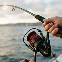 PENN Fierce IV Spinning Reel