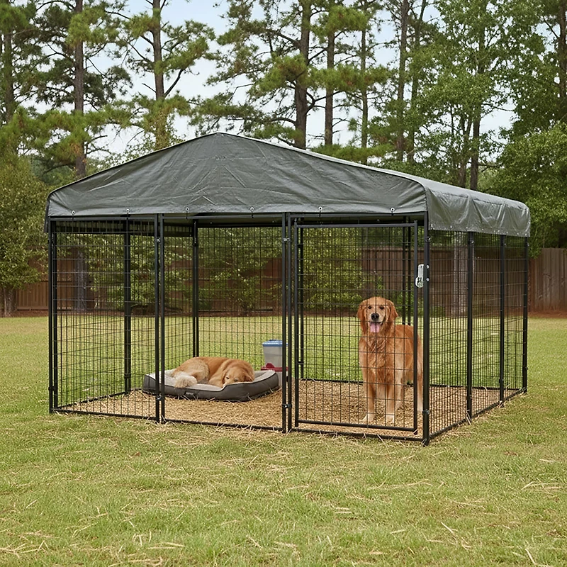 Game Winner 2-in-1 Dog Kennel 2.0