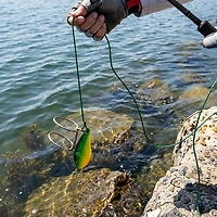 Eagle Claw Lure Retriever