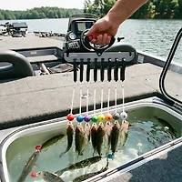 Bubba Culling Indicator Set