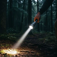 NEBO Davinci 12000 lm Flashlight with Powerbank