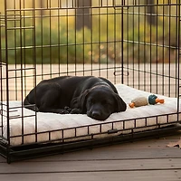 Carpenter Keith Ortho Foam Small Kennel Pad