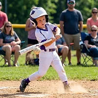 Mizuno Kids' F20-Finch Tee Ball Softball Bat