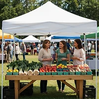 Z-Shade Alta 10 ft x 10 ft Canopy