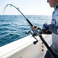 Shimano Saguaro Boat 7 ft MH Saltwater Casting Rod