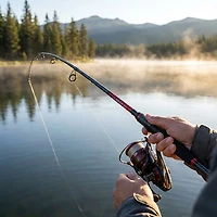 Daiwa Laguna Spinning Rod