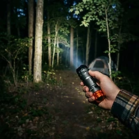 NEBO Newton Torchy 300 Battery Flashlight