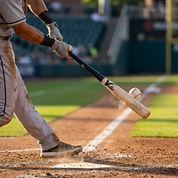 Victus AV Torpedo Pro Reserve Wood Bat -3