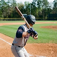 Marucci AP5 Pro Torpedo Model Wood Bat