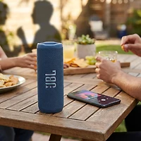 JBL Flip 7 Bluetooth Speaker