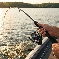 Penn Pursuit V 7 ft ML Spinning Combo