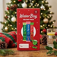 Waterboy Holiday Gift Box Variety 12 Pack