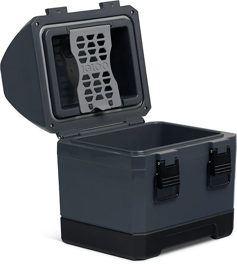 Igloo Coolbox 10 qt Cooler