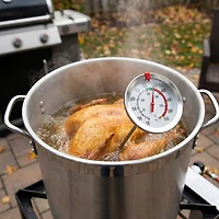 Outdoor Gourmet 12 in Long-Stem Thermometer