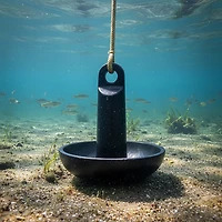 Marine Raider 15 lb. Mushroom Anchor