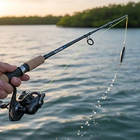 Falcon HD 6'8" Freshwater/Saltwater Casting Rod