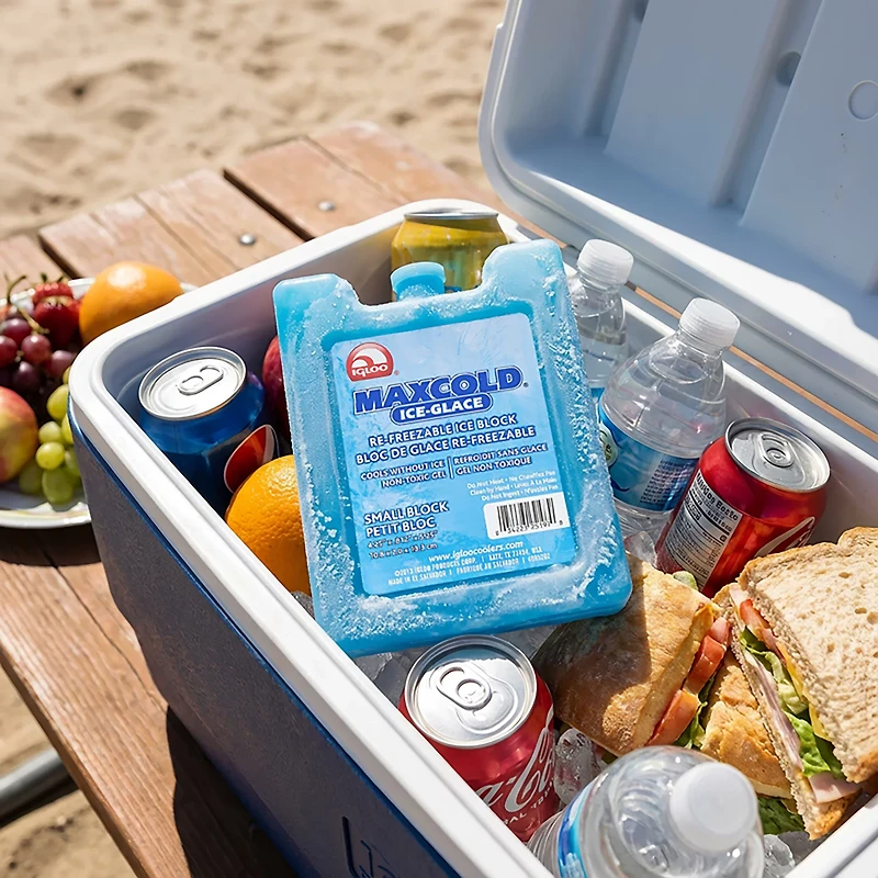 Igloo MaxCold Ice Block
