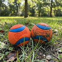 Chuckit! Ultra Ball Dog Toys 2-Pack