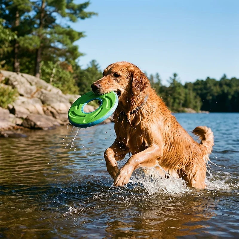 Chuckit! ZipFlight Dog Toy