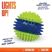Nerf Dog Translucent TPR Spike and Squeak Ball