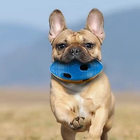 Nerf Dog TPR Bash Squeak and Crunch Football Toy