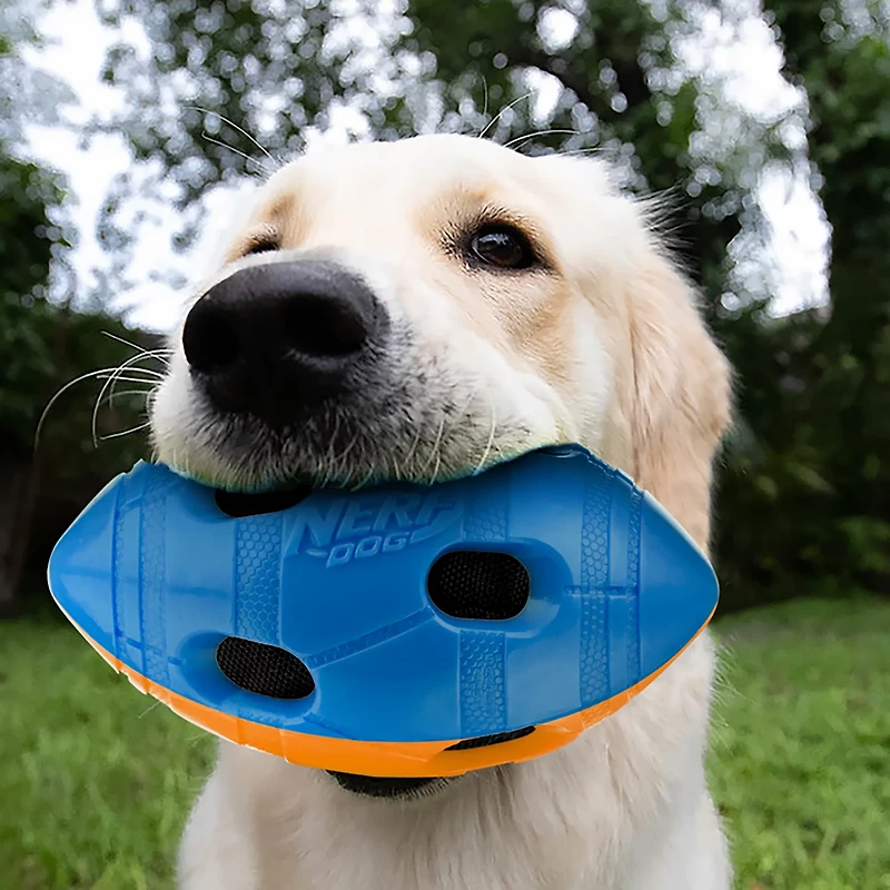 Nerf Dog TPR Bash Squeak and Crunch Football Toy