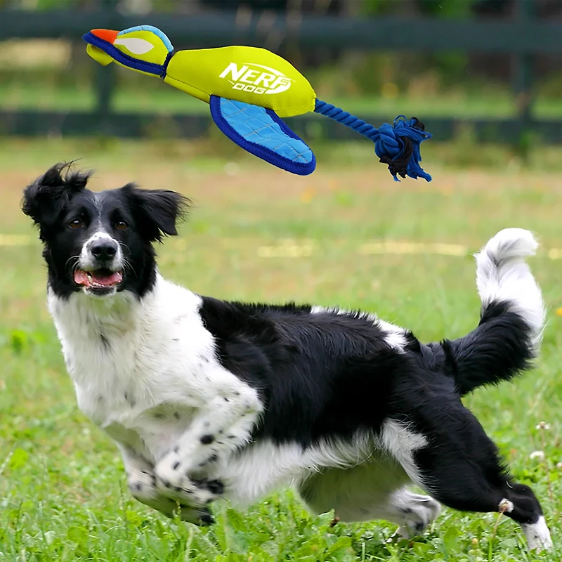 Nerf Dog Nylon Crinkle Wing Launching Duck Toy