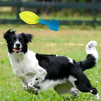 Nerf Dog TPR Squeak Vortex Toy