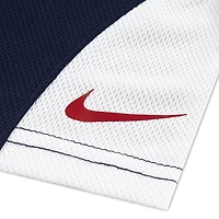 Nike Toddler Boys' Baseball Graphic T-shirt and Shorts Set