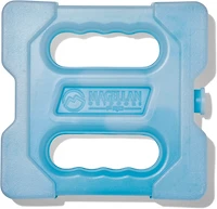 Magellan Outdoors 2lb Ice Pack