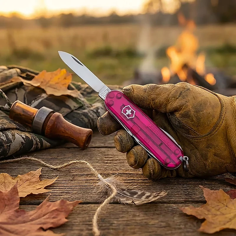 Victorinox Swiss Army Classic Pocket Knife