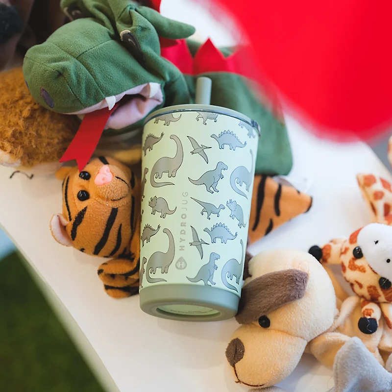 HydroJug 14 oz. Everyday Tumbler with Straw Lid