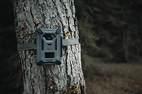 SpyPoint Force-4K 48.0 MP Non-Cellular Trail Camera
