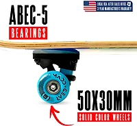 Madd Gear LTR 31 in Double Kicktail Skateboard