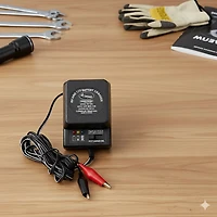 Wildgame Innovations Trophy Hunter™ Wildlife Feeders 6V and 12V Battery Charger