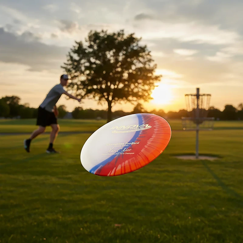 Innova Disc Golf I-Dye Champion Driver