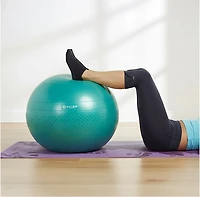 Gaiam Eco Total Body 65 cm Balance Ball Kit