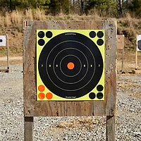 Birchwood Casey Shoot-N-C Self-Adhesive 8-in Bull's-Eye Targets 30-Pack
