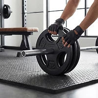 CAP Barbell 25 lb. Regular Grip Plate