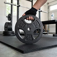 CAP Barbell 25 lb. Regular Grip Plate